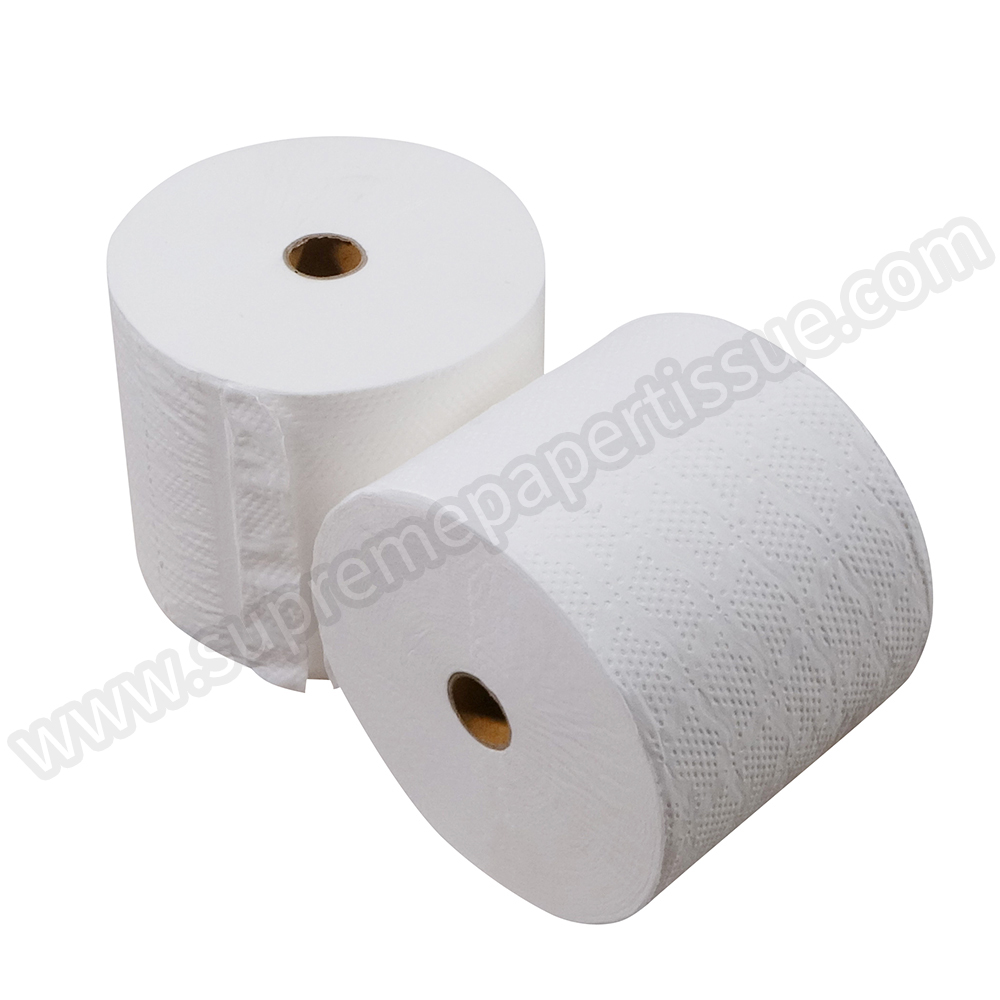 Recycle Mini Core Small Toilet Tissue - Small Toilet Tissue - 1