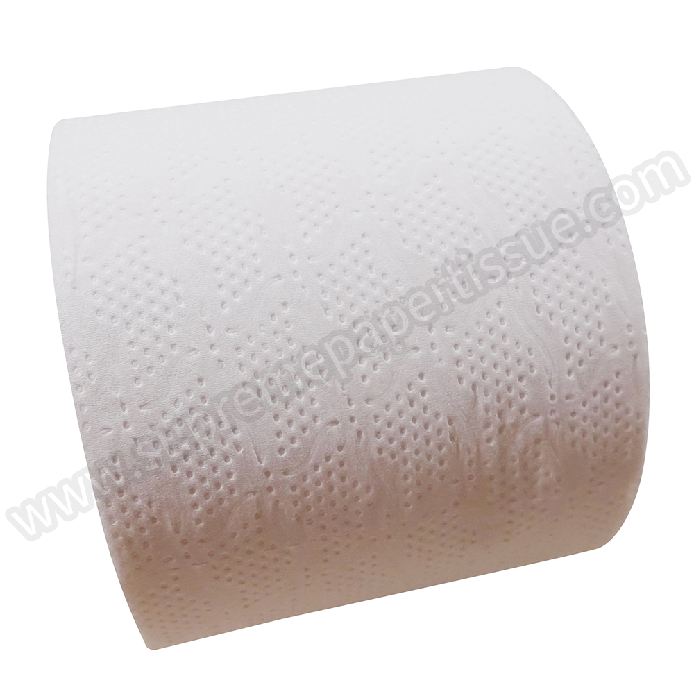 Recycle Mini Core Small Toilet Tissue - Small Toilet Tissue - 2