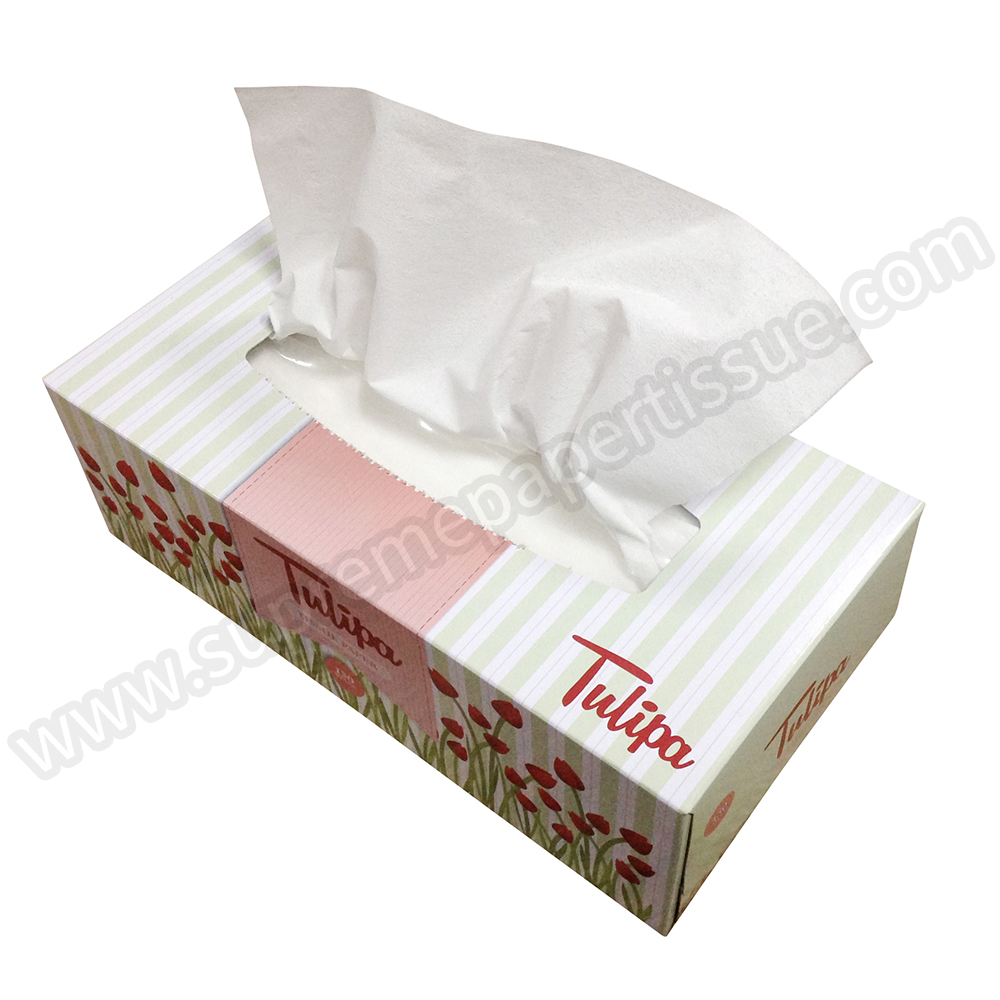 Flat Box Facial Tissue Virgin White - Box Facial Tissue - 6