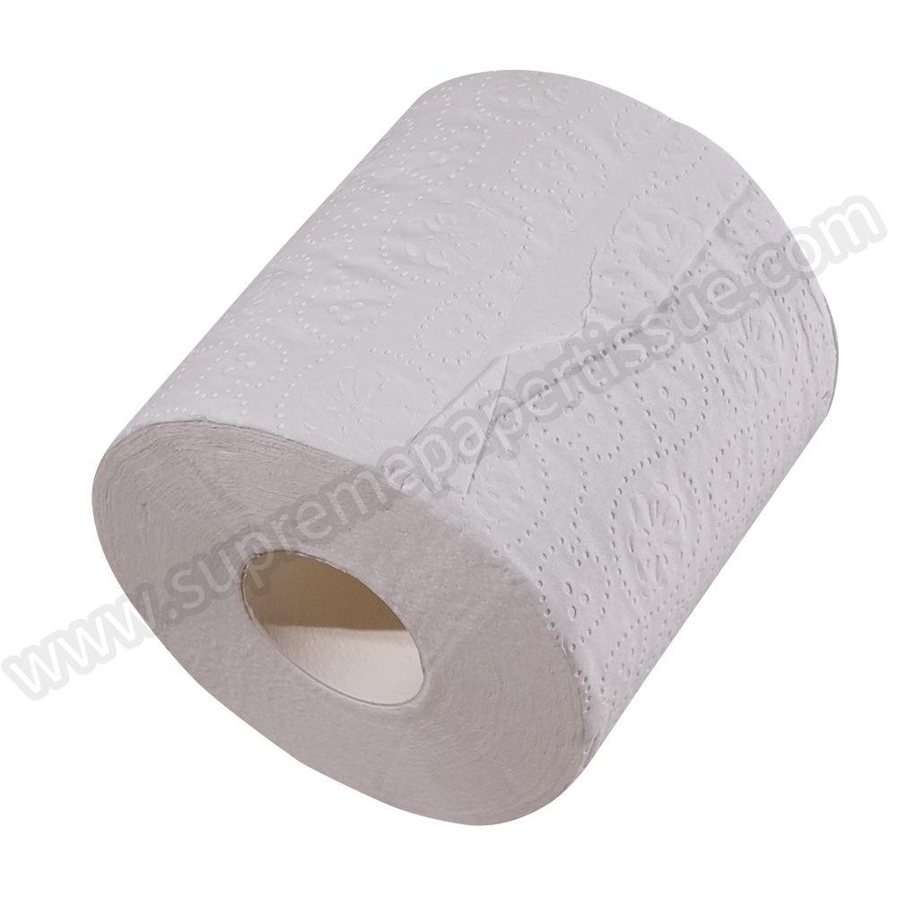 Recycle Small Toilet Tissue - Small Toilet Tissue - 3