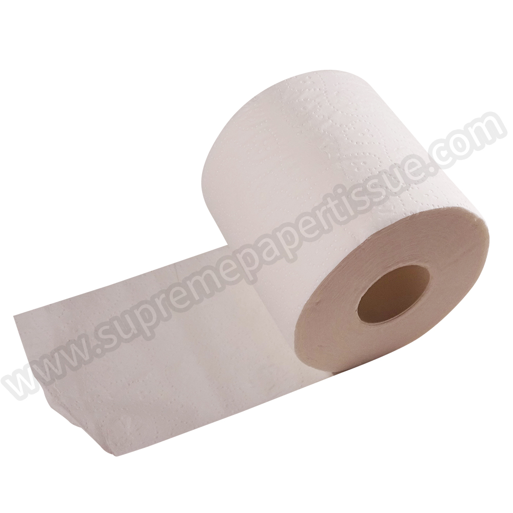 Recycle Small Toilet Tissue - Small Toilet Tissue - 12