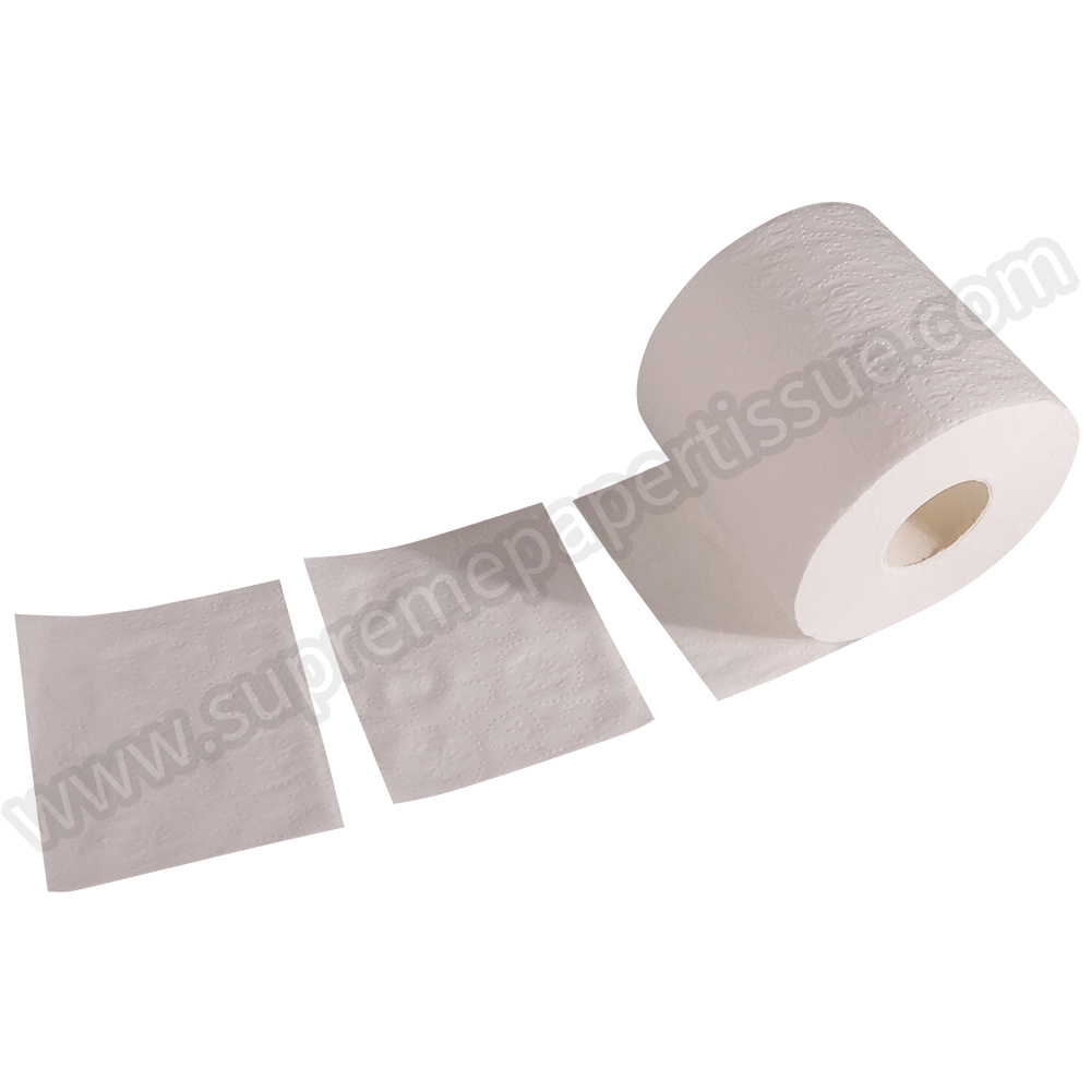 Recycle Small Toilet Tissue - Small Toilet Tissue - 13
