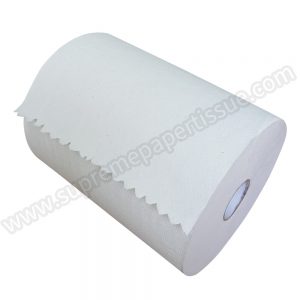 Hardwound Roll Paper Hand Towel Recycle White
