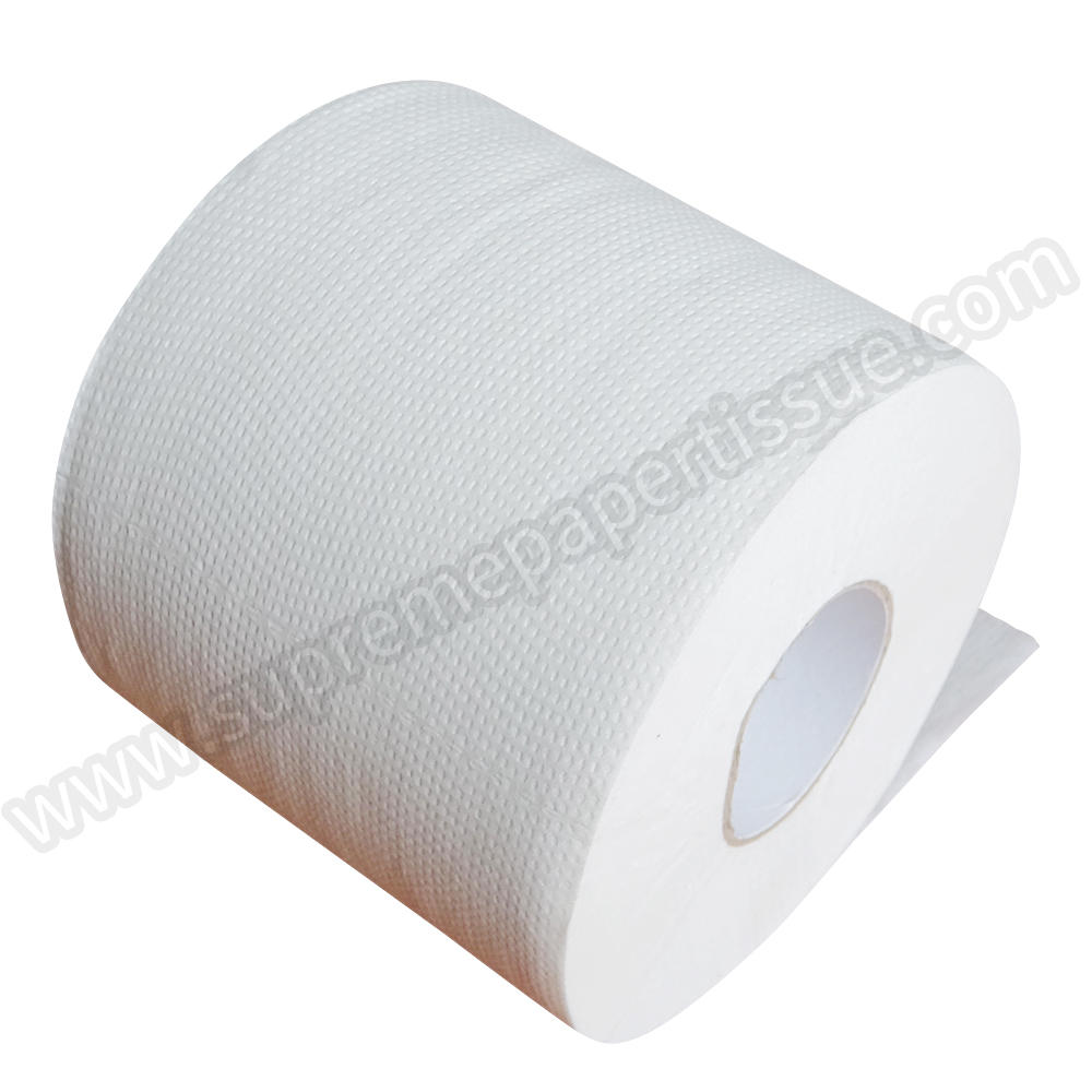 Recycle Small Toilet Tissue - Small Toilet Tissue - 6